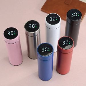 Temperature bottle