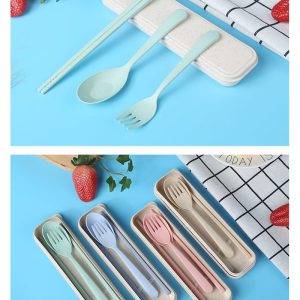 Plastic spoon with case